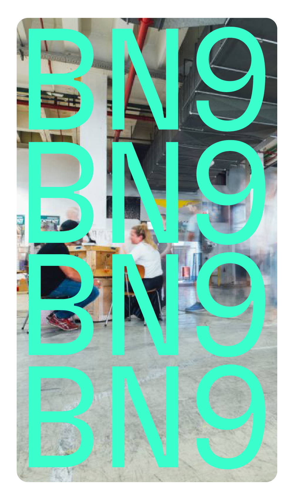 Newhavens BN9 branding used on social media templates