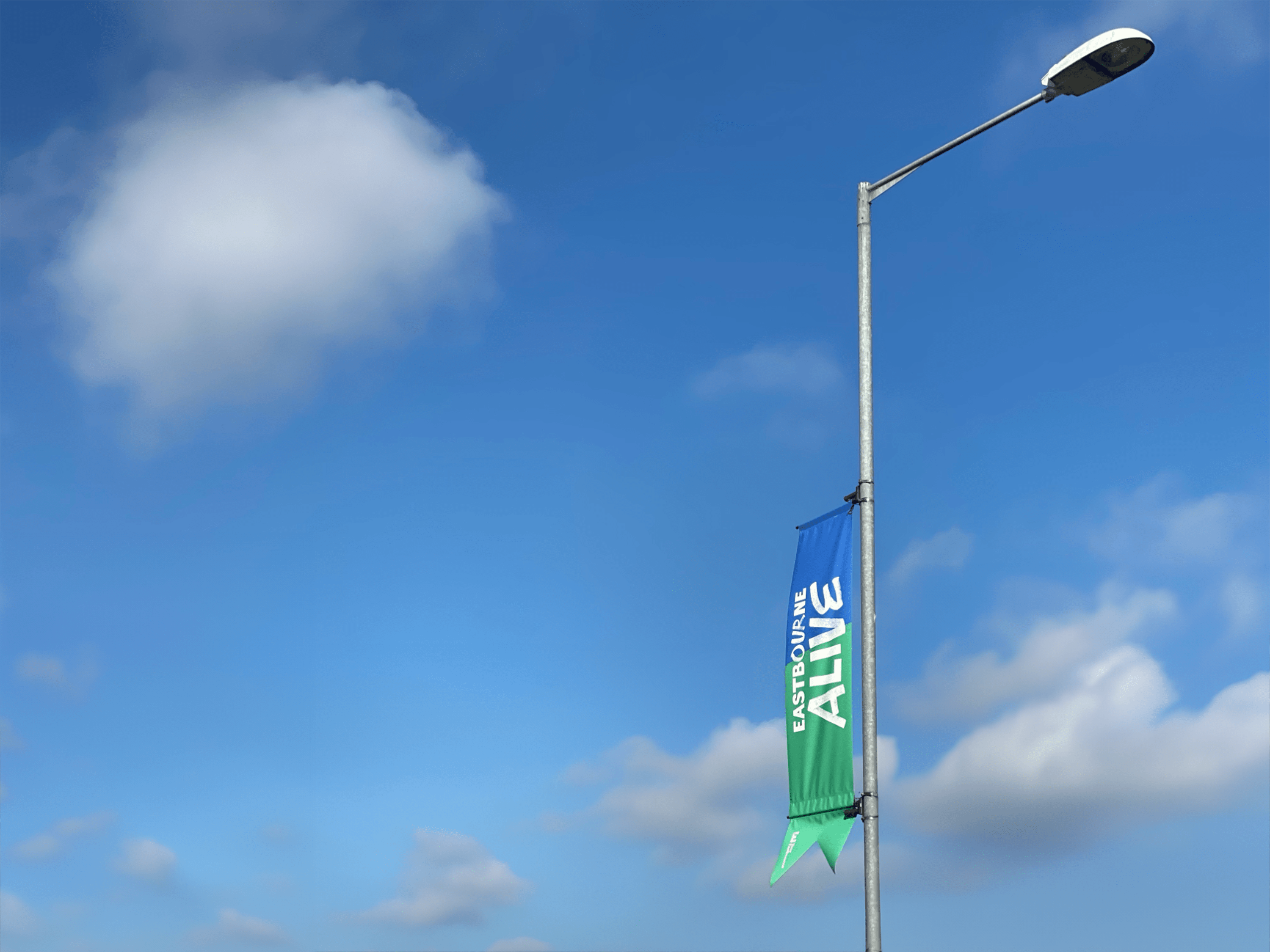 Photo of a green and blue lampost banner with the Eastbourne Alive logo running vertically 